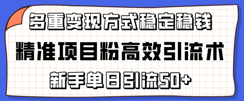 精准项目粉高效引流术，新手单日引流50+，多重变现方式稳定赚钱-小目标云网创